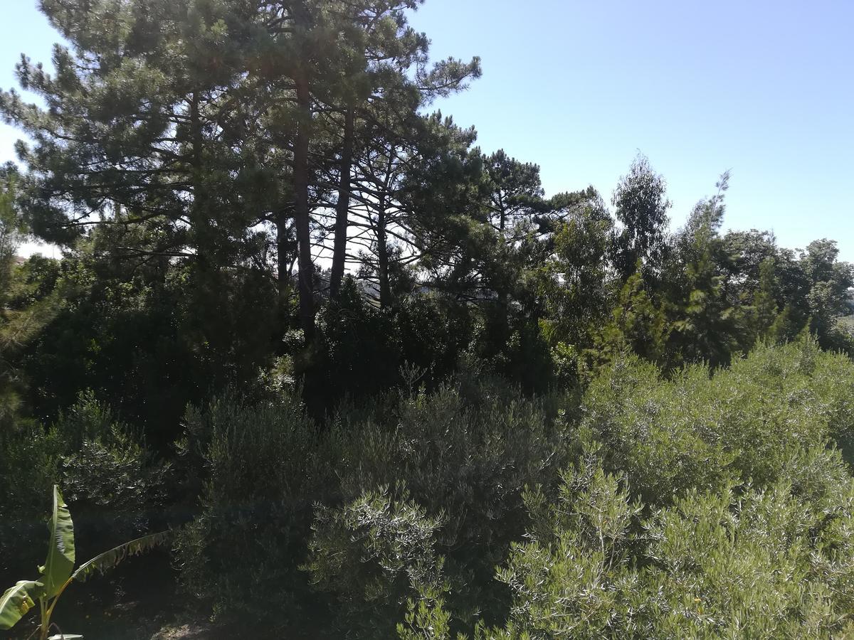 Quinta Vale Real Villa Alcobaça Eksteriør bilde