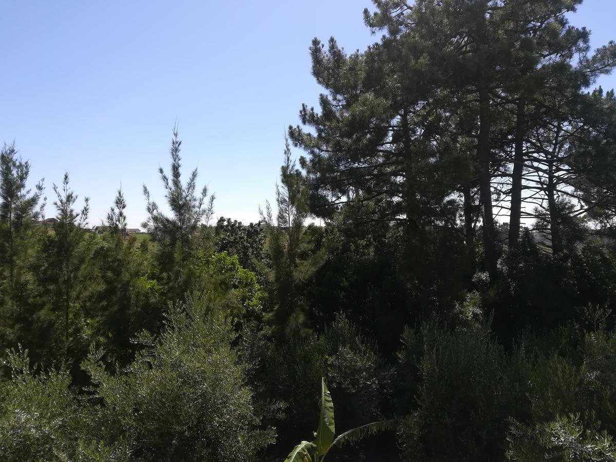Quinta Vale Real Villa Alcobaça Eksteriør bilde